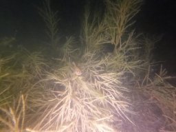 immersioni-estate22 20